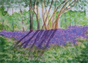 Watercolour painting of bluebell wood