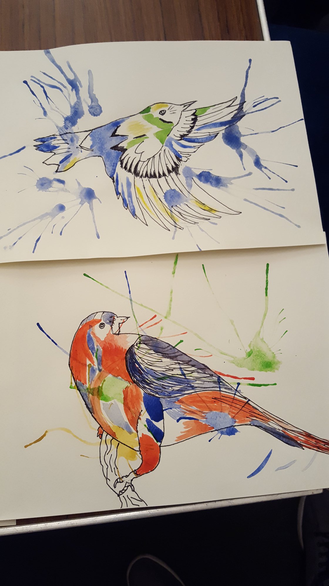Pen and paint drawing of two birds
