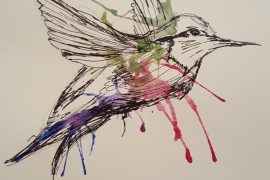 Pen and paint drawing of a bird