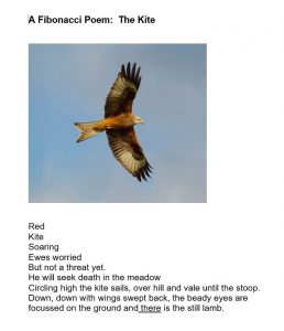 Poem - The Kite
