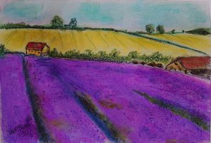 Lavender field in soft pastels