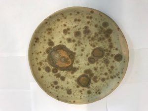 ceramic plate with brown mottled design