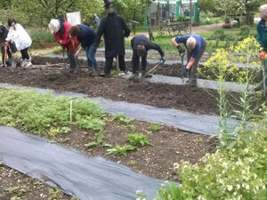 How to Grow Your Own Fruit and Vegetables Workshop