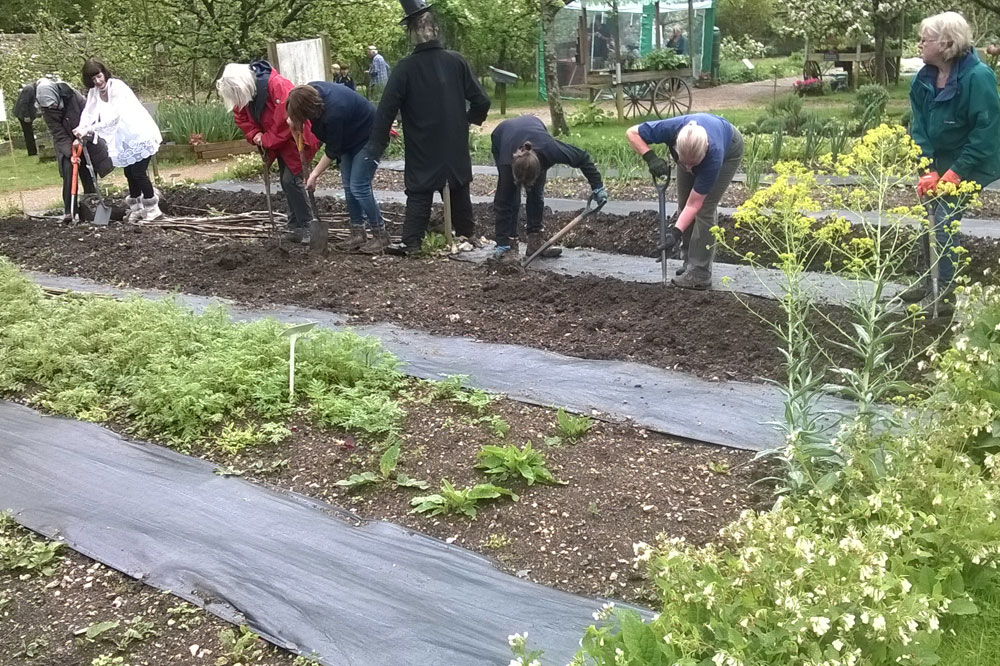 How to Grow Your Own Fruit and Vegetables Workshop