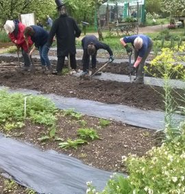 Group of people digging in vegetable patch