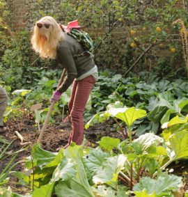 Woman digging in a garden