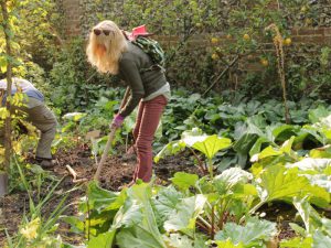 Woman digging in a garden