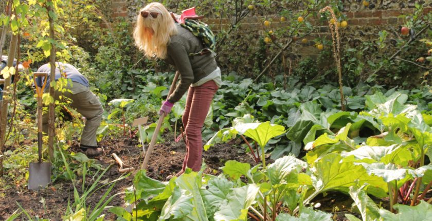 Woman digging in a garden