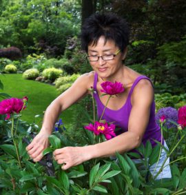 Woman cutting flowers in a garden