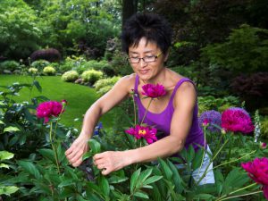 Woman cutting flowers in a garden